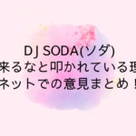DJ SODA(ソダ)日本に来るなと叩かれている理由は？ネットでの意見まとめ！